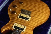 PRS Private Stock Limited Edition Howard Leese Golden Eagle-6.jpg